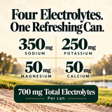 Nother Sparkling Hydration + Energy Drink / 12-Pack